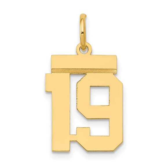 14k Yellow Gold Small Polished Number 19 Charm